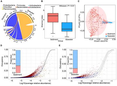 Roles of sulfate-reducing bacteria in sustaining the diversity and stability of marine bacterial community